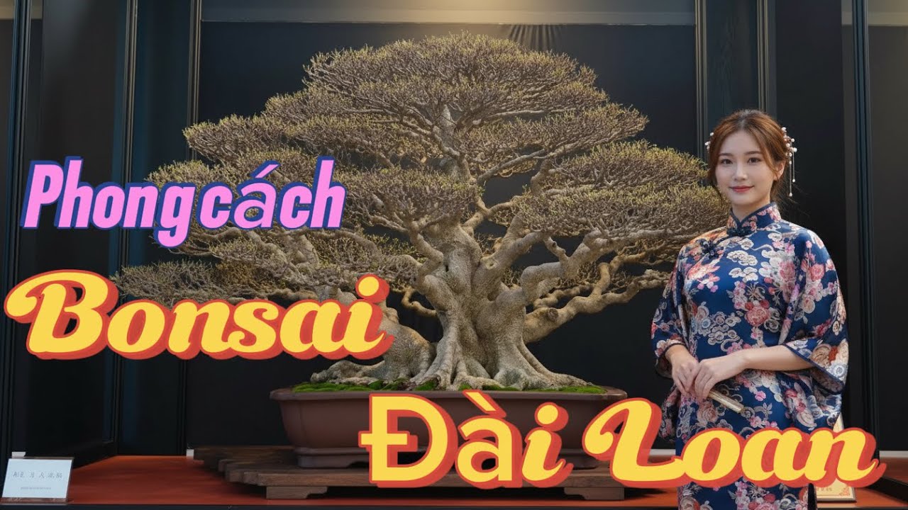 BONSAI ĐÀI LOAN- 