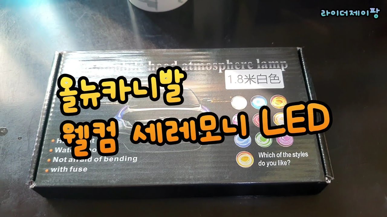 올뉴카니발 웰컴 세레모니 LED바.