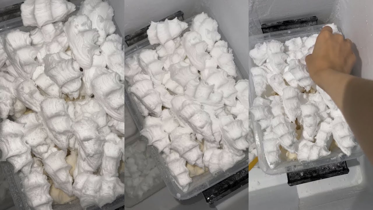 NEW Freezer Frost Dumpling Ice Eating Sound | Dry Crunch ASMR ❄️