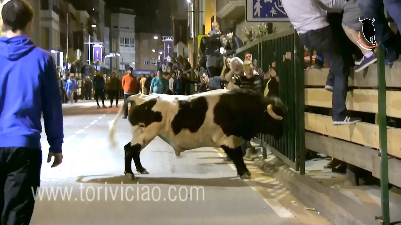 Torazos de Toropasi&oacute;n en Rinc&oacute;n de Soto (7 de Abril)