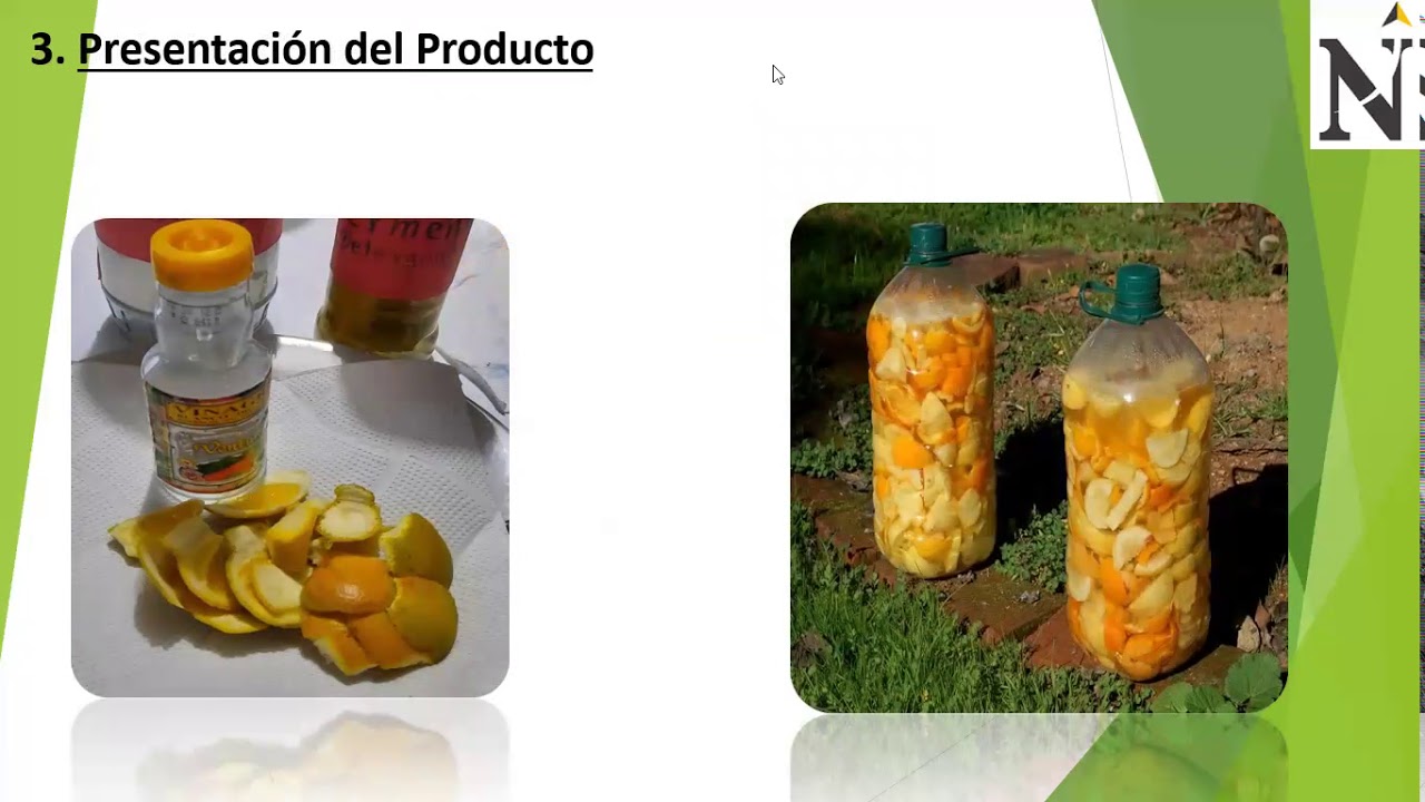 Elaboración de Detergente Ecológico a base de Cáscaras de Cítricos