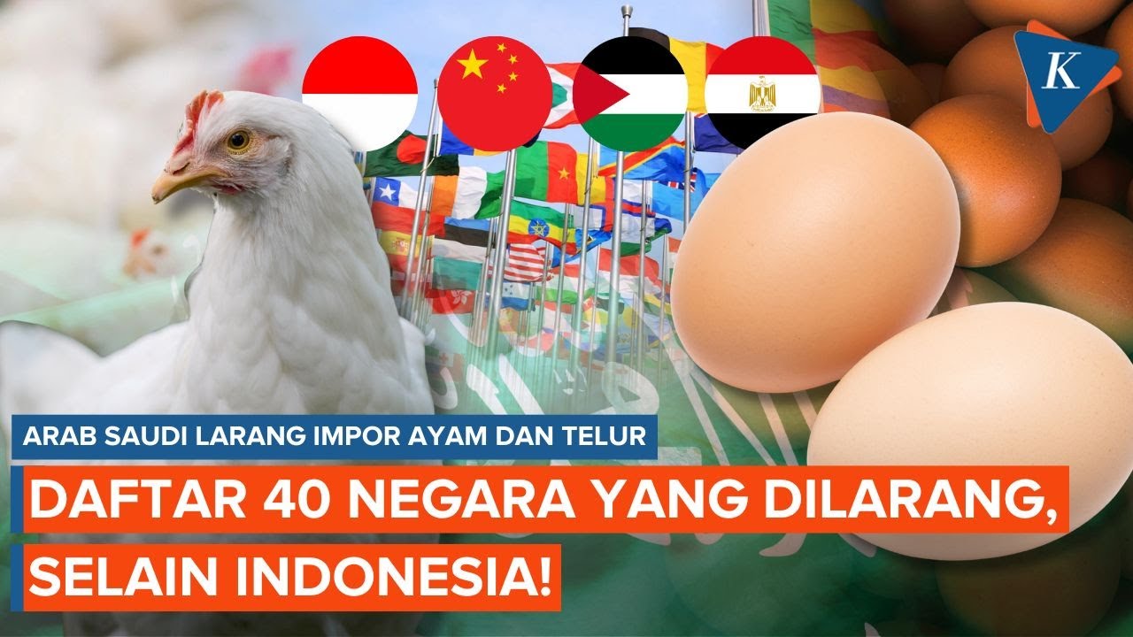Arab Saudi Larang Impor Ayam dan Telur dari 40 Negara, Termasuk Indonesia!
