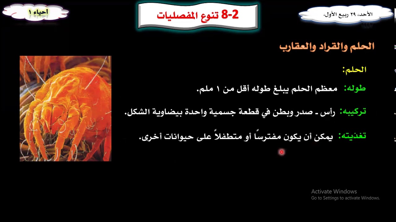 أحياء 1: تابع تنوع المفصليات