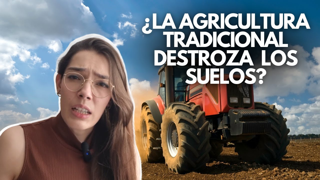 Agricultura ecológica | ¿Funcionan las cubiertas vegetales y el no laboreo?