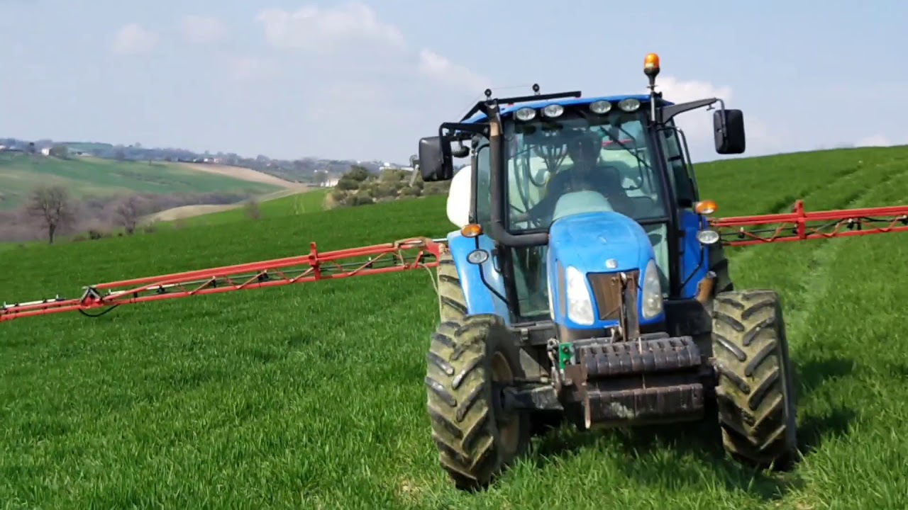 T5069 diserbo grano