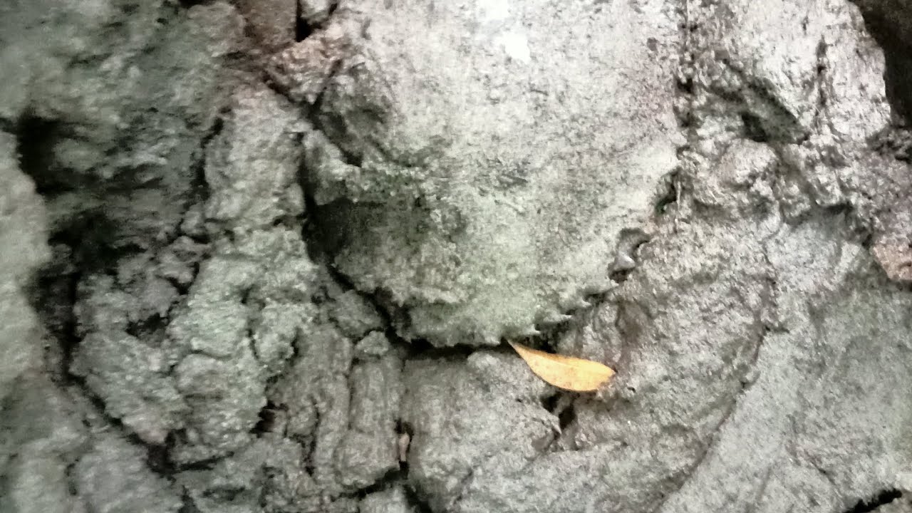 Ep503_Dayo lima ang huli jackpot