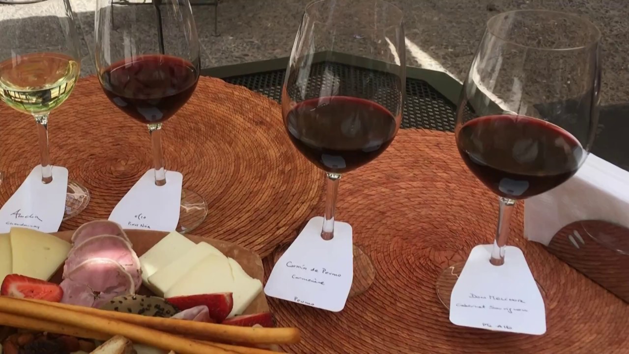 Wine Tasting Near Santiago, Chile