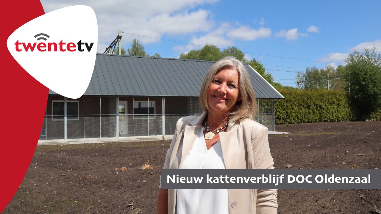 Zo mooi is het nieuwe kattenverblijf van DOC Oldenzaal geworden - Twente TV