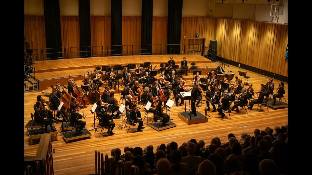 The Flow (Teemu Vehkala) tribute to the Metropole Orchestra