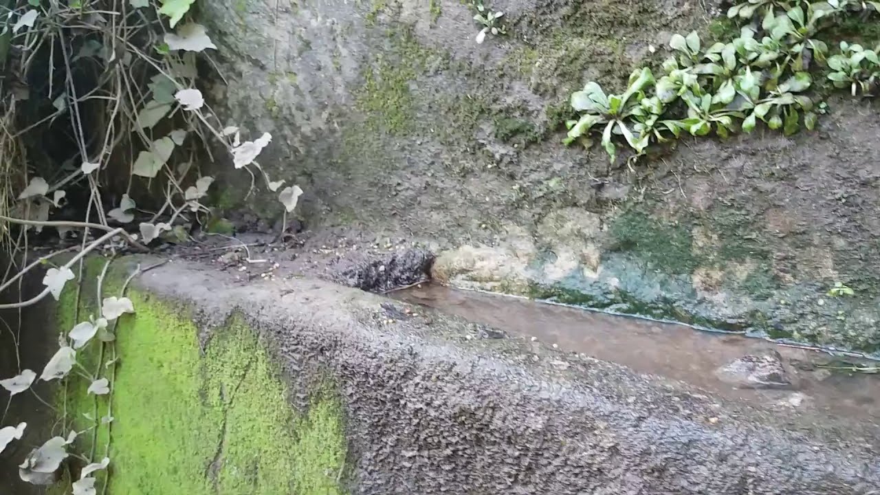 Acqua a Cava - SCORDIA  -  Area di Base - solo chitarra
