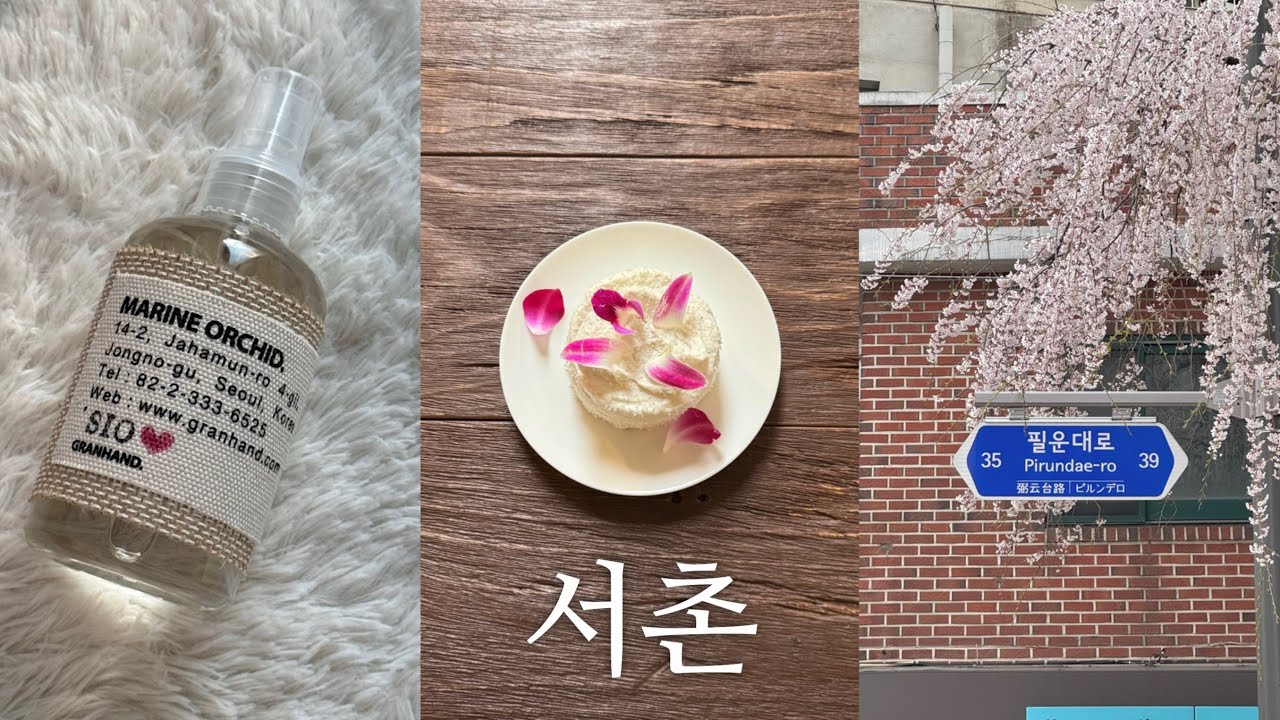 vlog. 최애 계절 봄, 사랑하는 서촌🌷 (또간/또갈 아끼는 카페들, 서촌 벚꽃길, 각인 향수, 힙한 갬성소품샵, 한우 오마카세, 종로 야장)