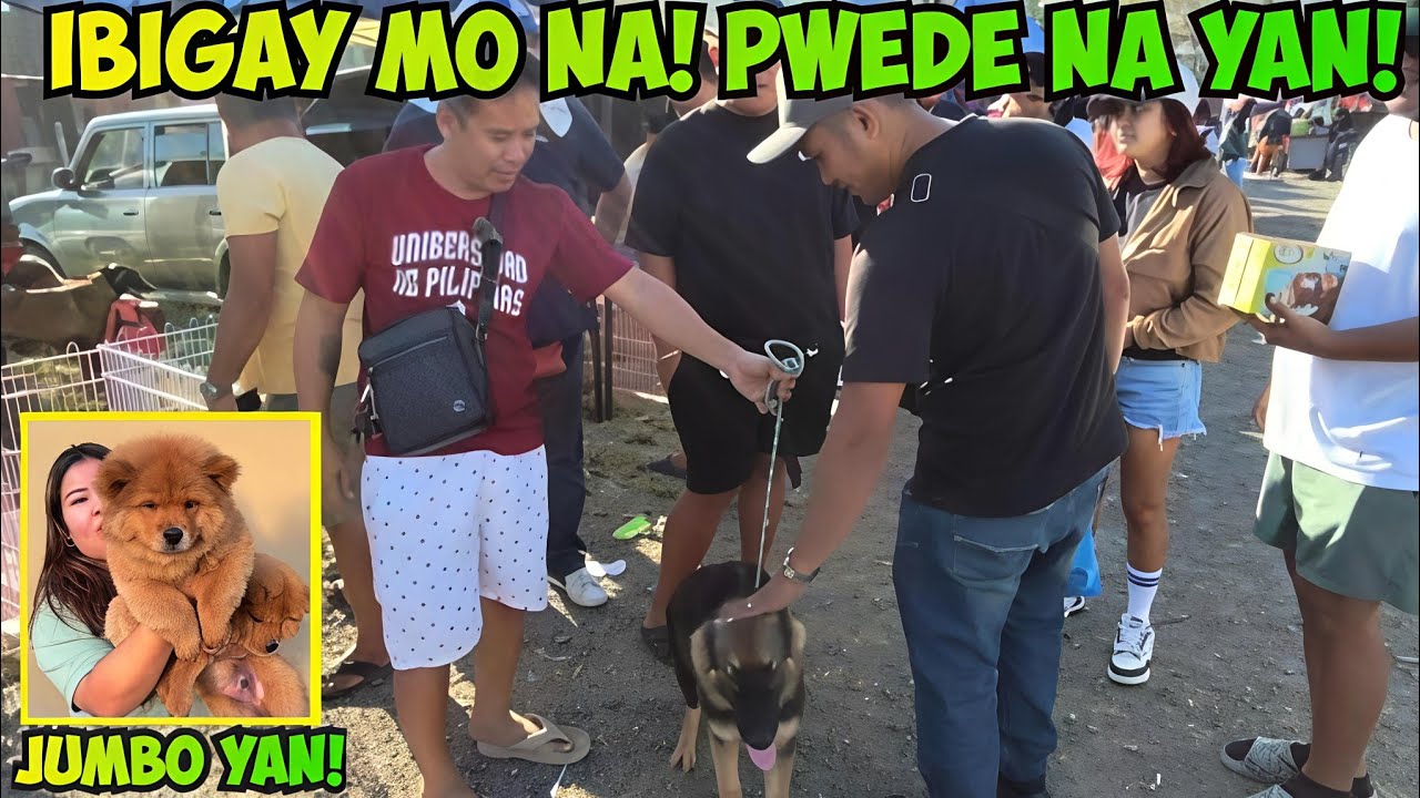 IBIGAY MO NA KASI NG MATAPOS ANG USAPAN! BOCAUE PET MARKET! 1/30/2026