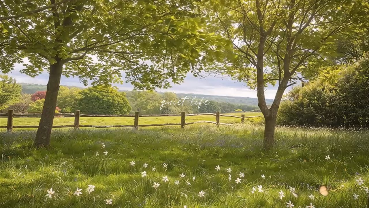 a playlist for a quiet life