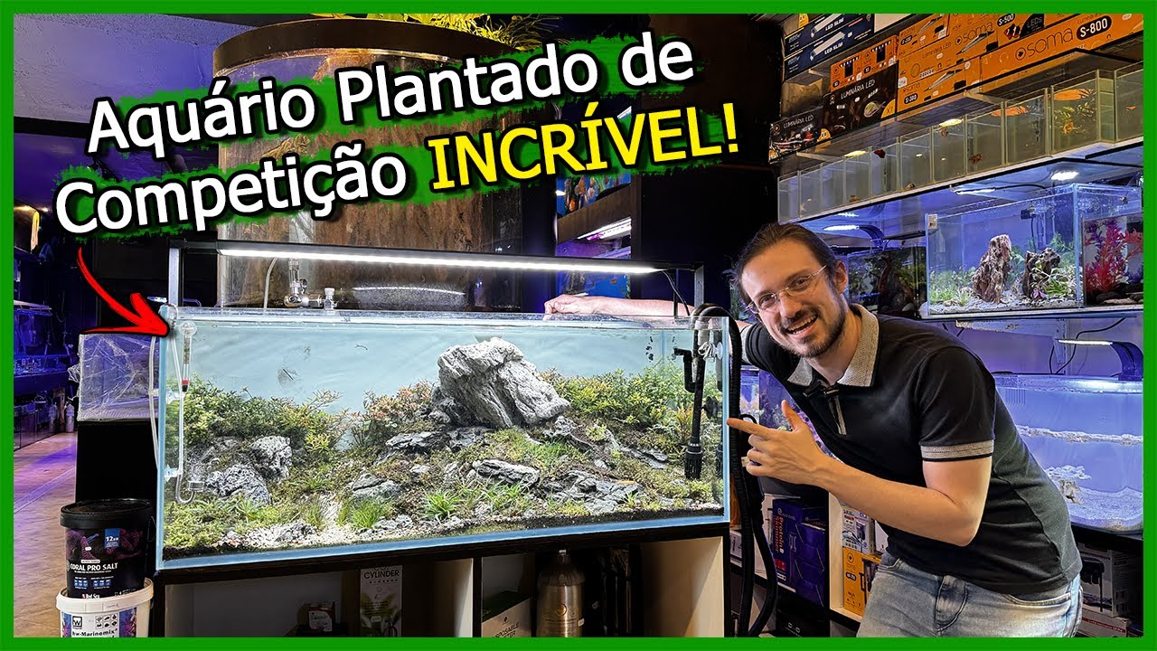 Olha a Evolução desse Aquário PLANTADO! Incrível!