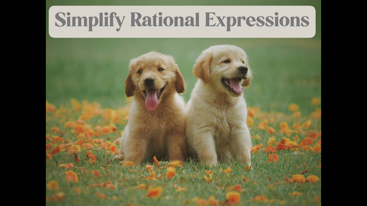 Rational Expressions