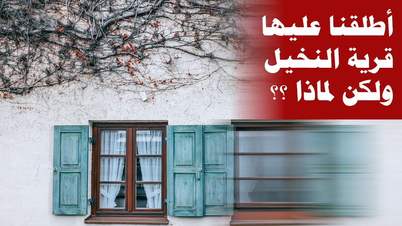 شوارع البحرين | قرية القرية واشجار النخيل