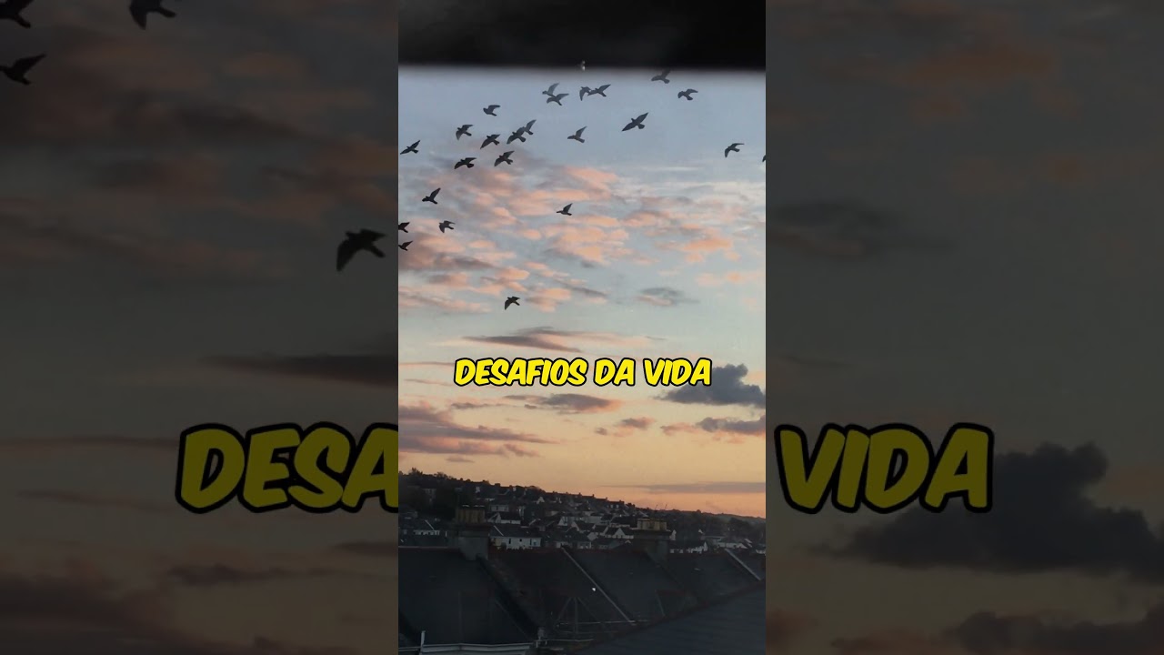 Ora&ccedil;&atilde;o PODEROSA Pedindo Sabedoria | Guia Divino para Decis&otilde;es e Vida #biblia #sabedoria #deus #f&eacute;