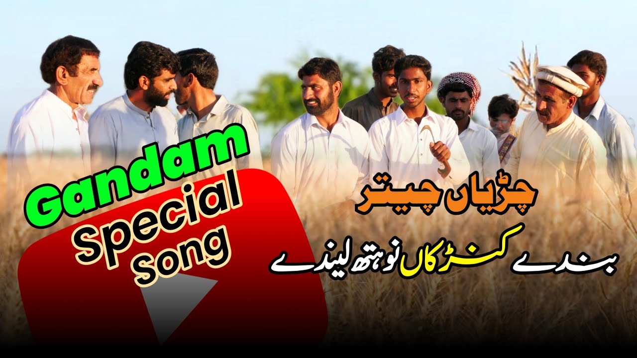 Gndam Special song | گندم سونگ | bhilomar party