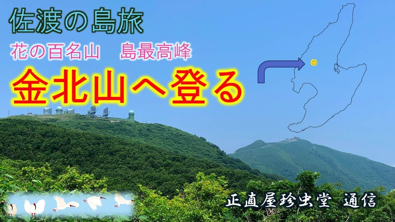 佐渡の島旅　花の百名山、佐渡最高峰の金北山へ登ります