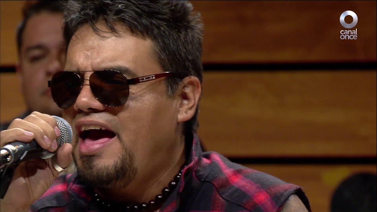 #Calle11 - Programa 16, Perro callejero 