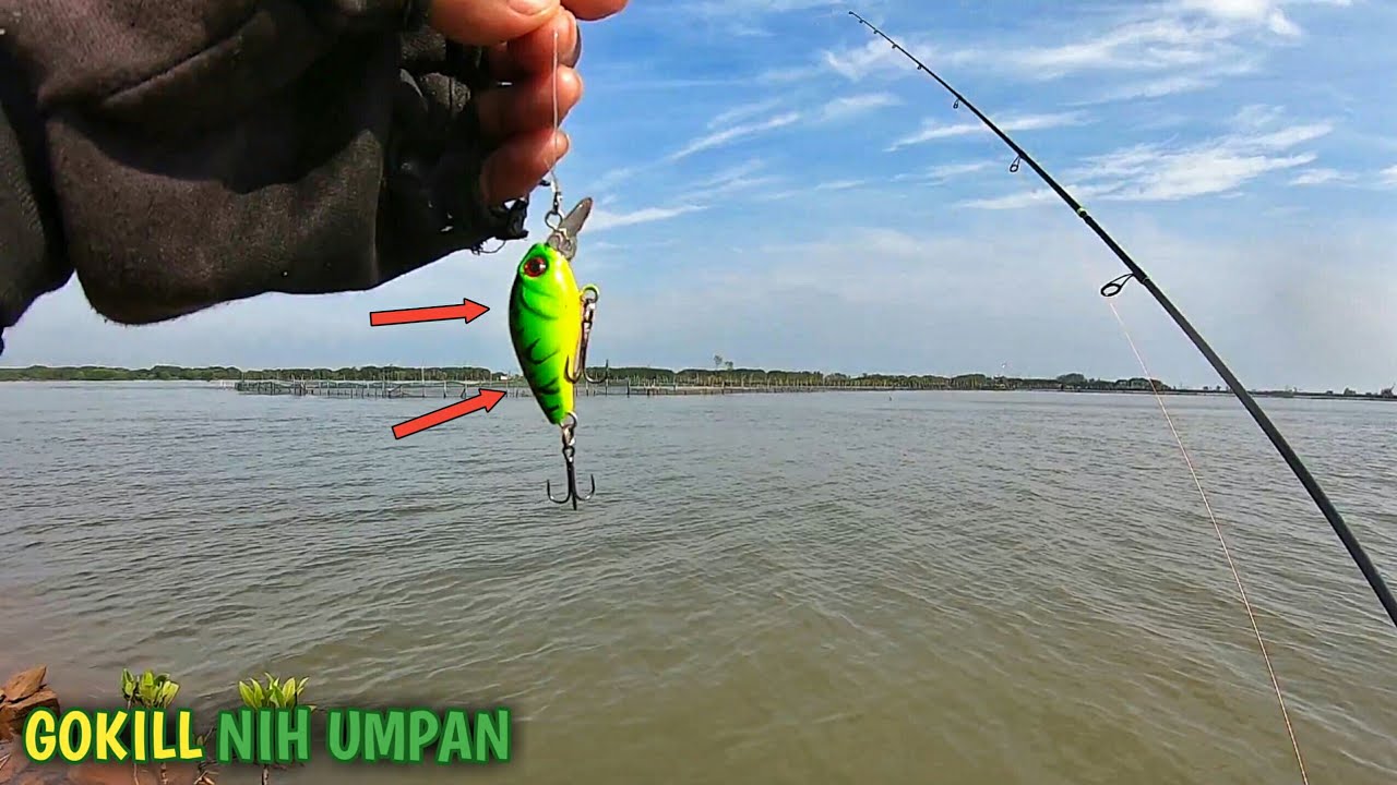 Gacor Bro !!! Umpan Mancing Casting Di Pinggir Laut Rob