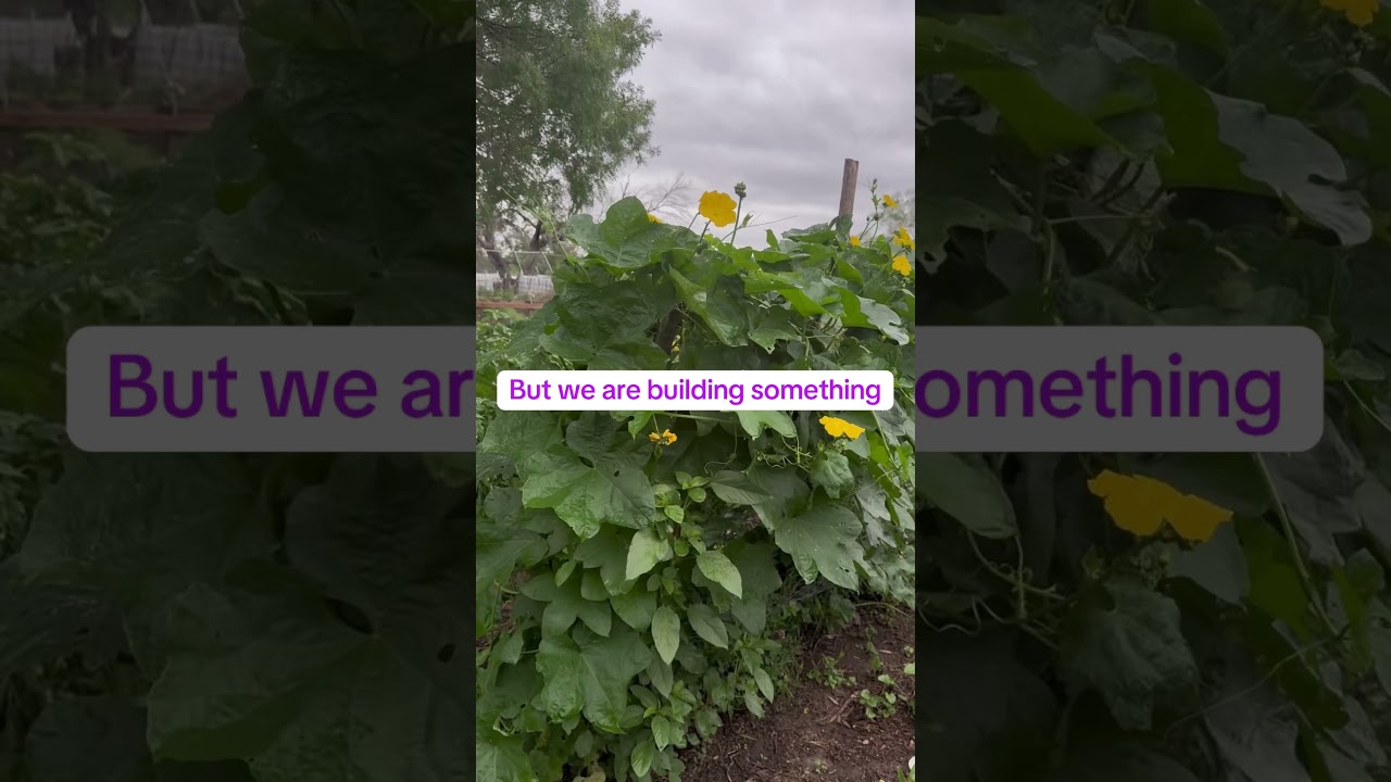 Organic gardening starts from building the soil. #gardening #garden #gardeningtips #organicgardener
