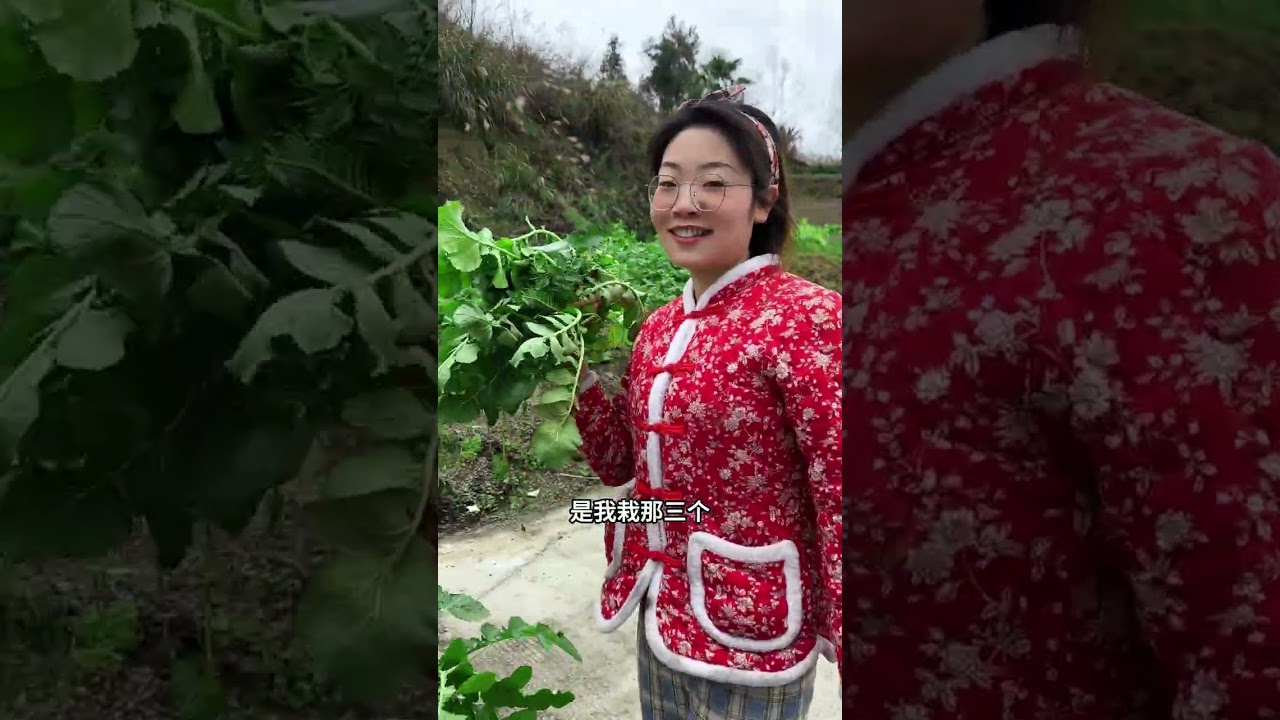 云贵川的命根子 &mdash; 凉拌折耳根！！@大山里的三姐妹 #春天的美食来自田野 #凉拌折耳根 #农村美食 #记录农村生活大山里的生活 #春天的味道