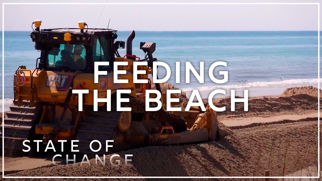 Why beaches disappear and what we do to fix it | State of Change