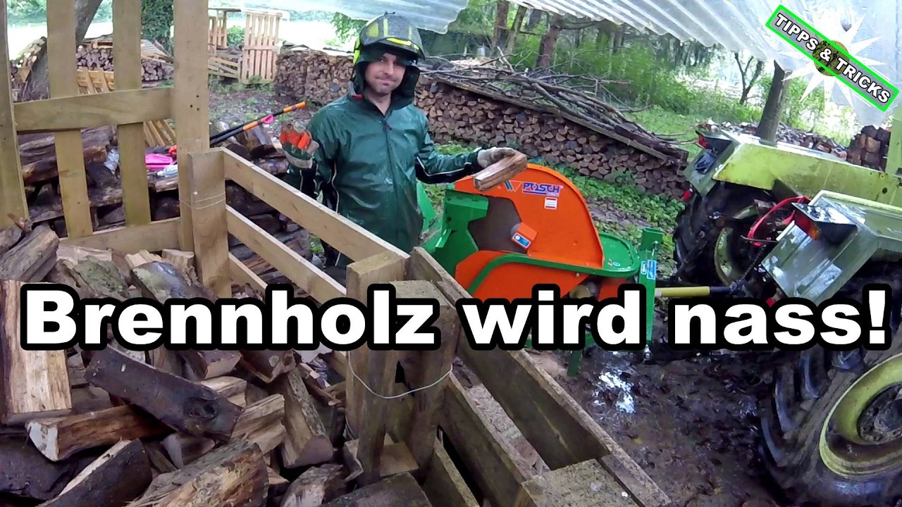 Nasses Holz!? Darf Brennholz nass werden?