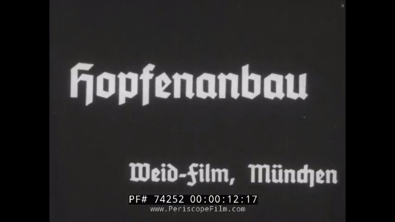 GROWING HOPS FOR BEER IN GERMANY   HISTORIC FILM 74252