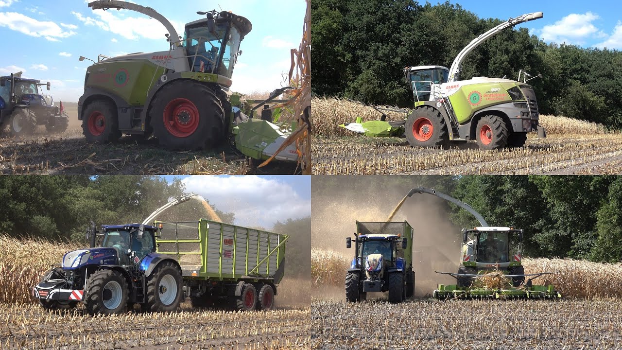 Mais hakselen door loonbedrijf Grefelman met hun nieuwe Claas Jaguar 950 (2022)