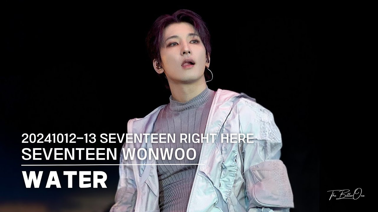 [FANCAM] 20241012-13 | SEVENTEEN RIGHT HERE IN GOYANG | SEVENTEEN - WATER (원우 Focus) [4K]
