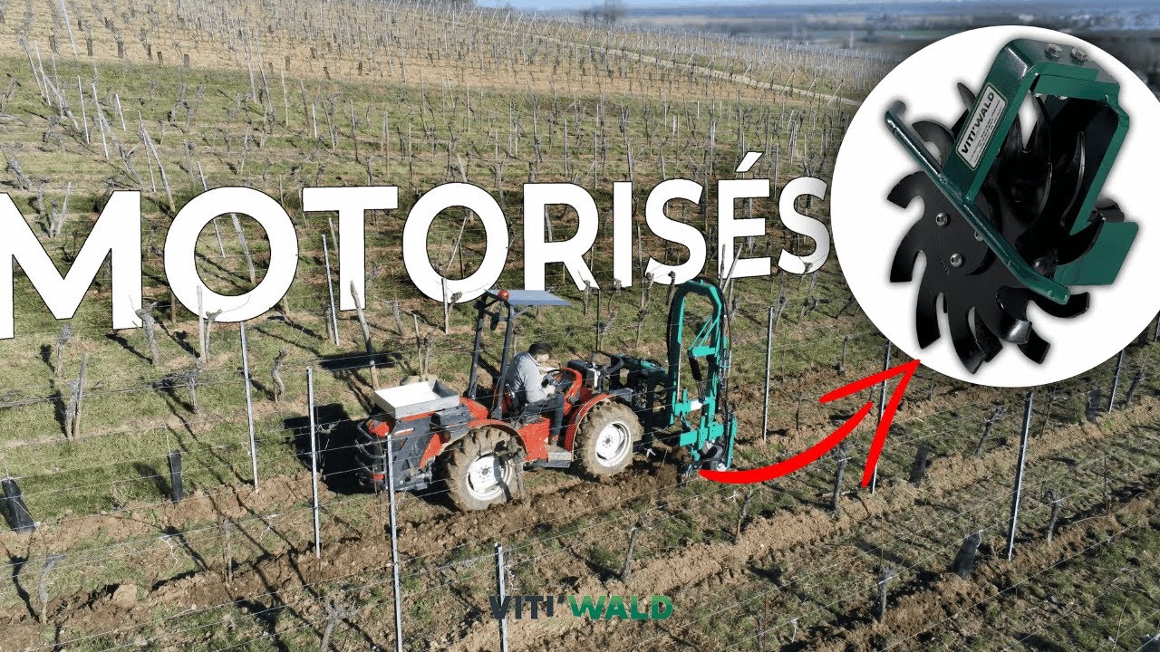 Disques émotteurs motorisés sur cadre enjambeur - VITI'WALD
