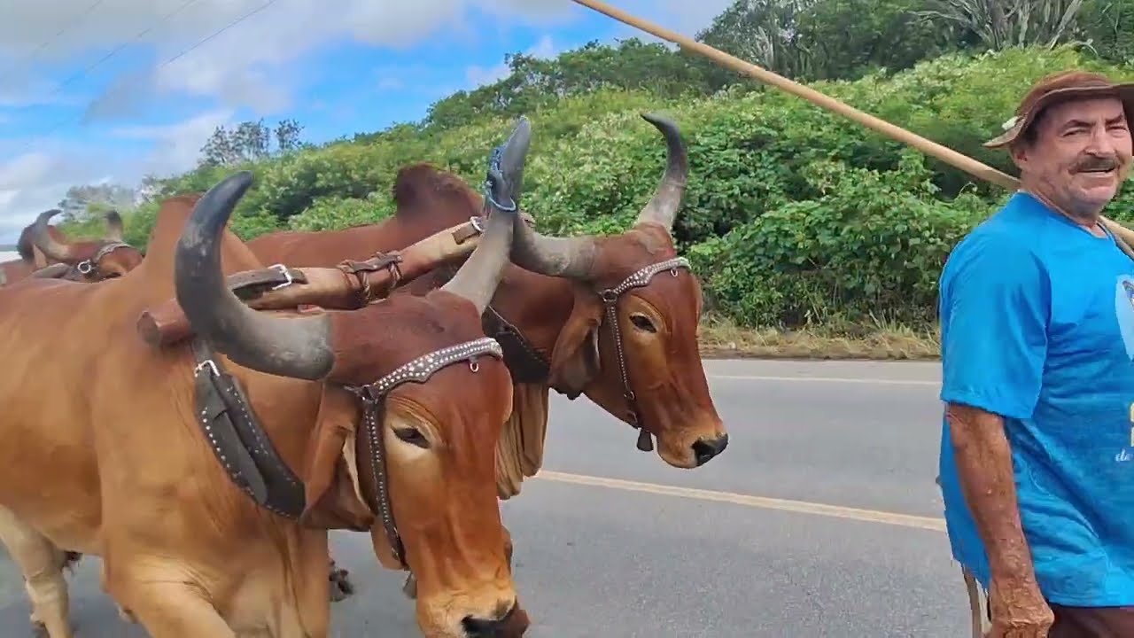 VAMOS VER A PROCISSÃO DOS CARREIROS COM A IMAGEM DE SENHORA SANTA'ANA É SÃO JOAQUIM