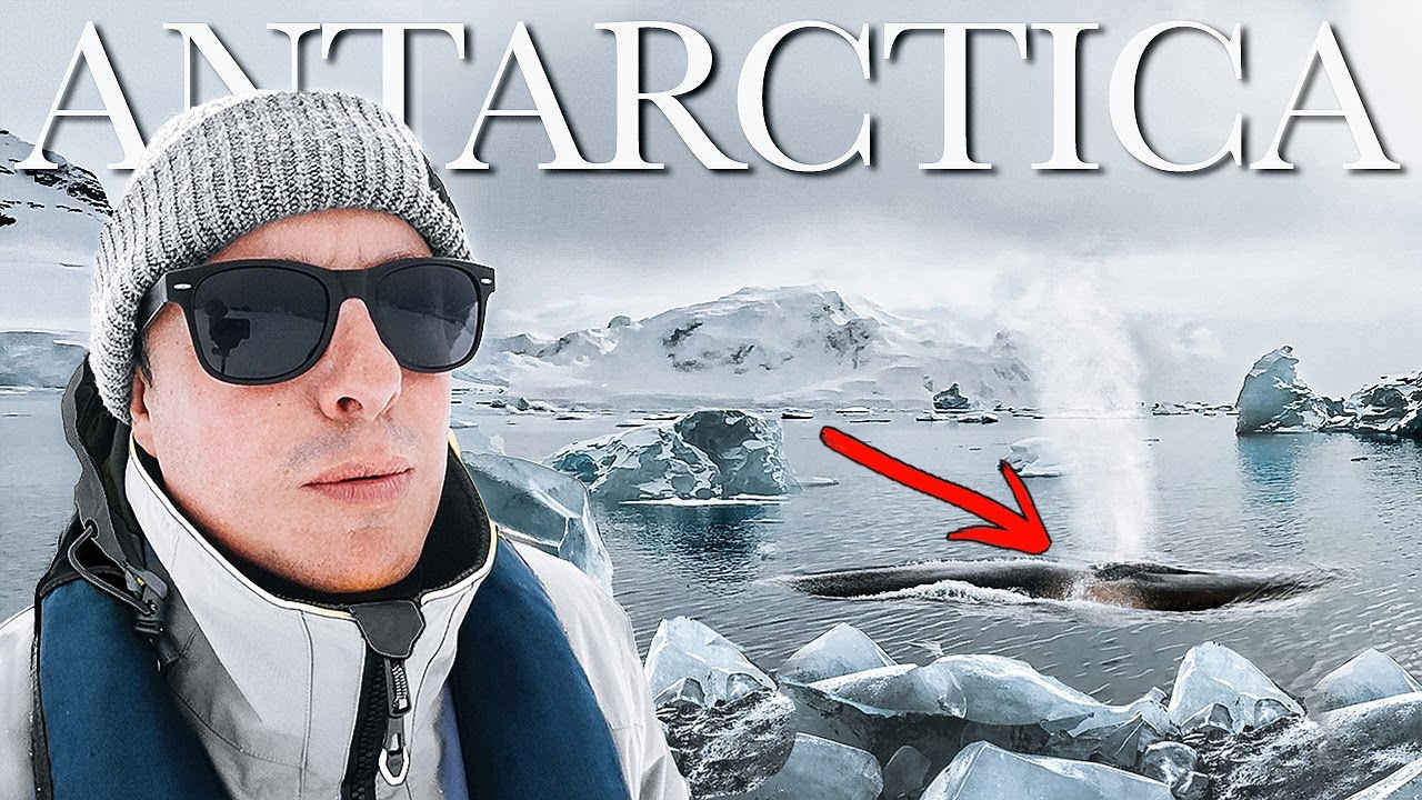 АНТАРКТИДА 🇦🇶 В окружении китов (Вершина путешествий)