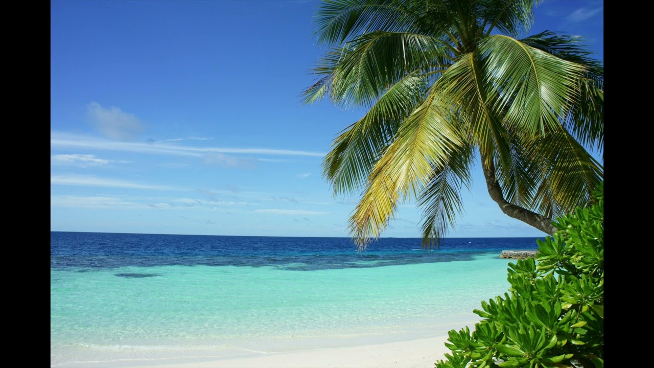 Tropical Jazz Escape: Relaxing Beach Vibes & Smooth Melodies