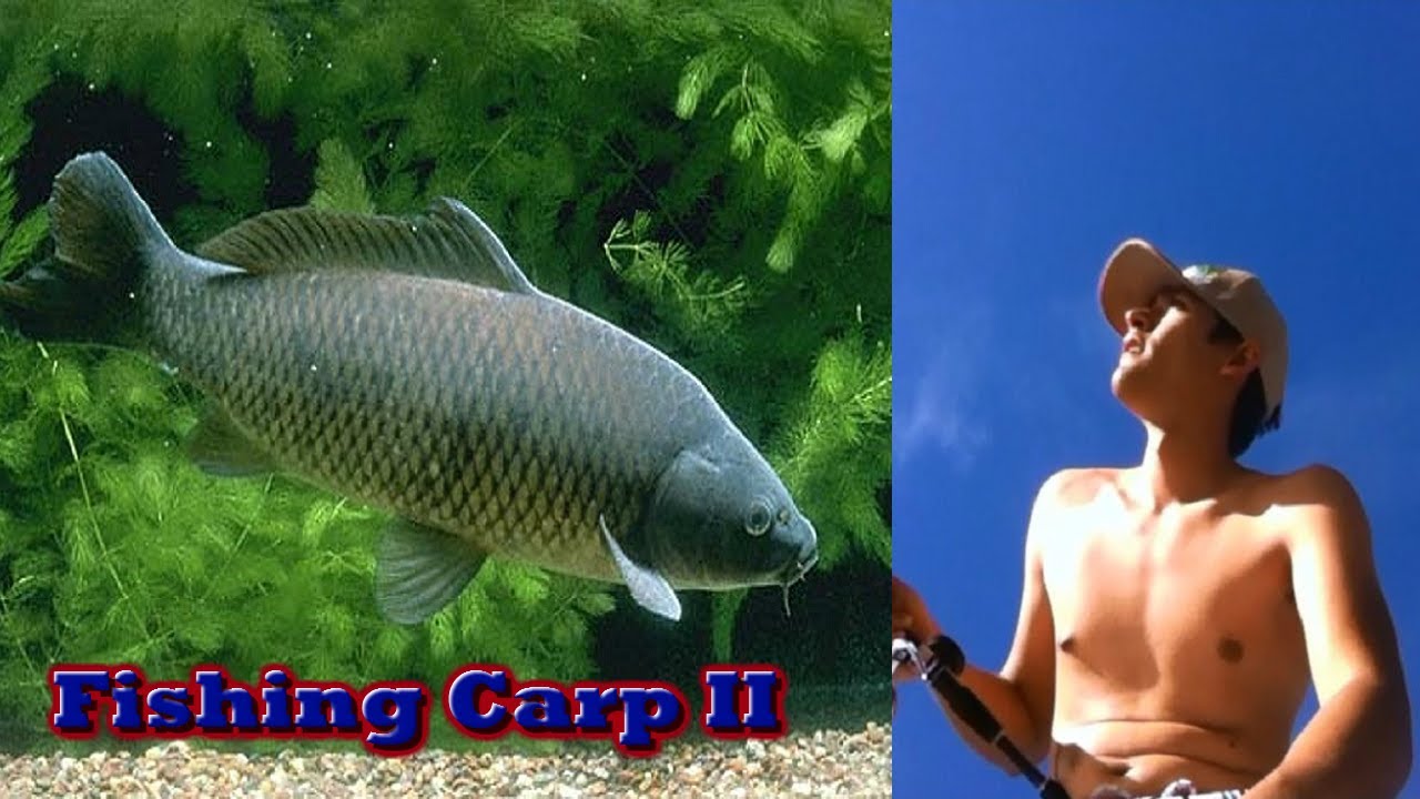 Carp Fishing 2: Bolt Rig