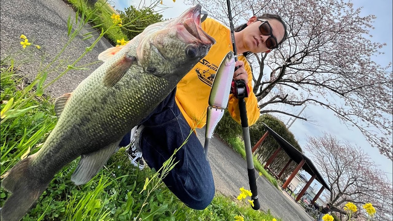 K9フレンチキッスからのKLASH FRENZY