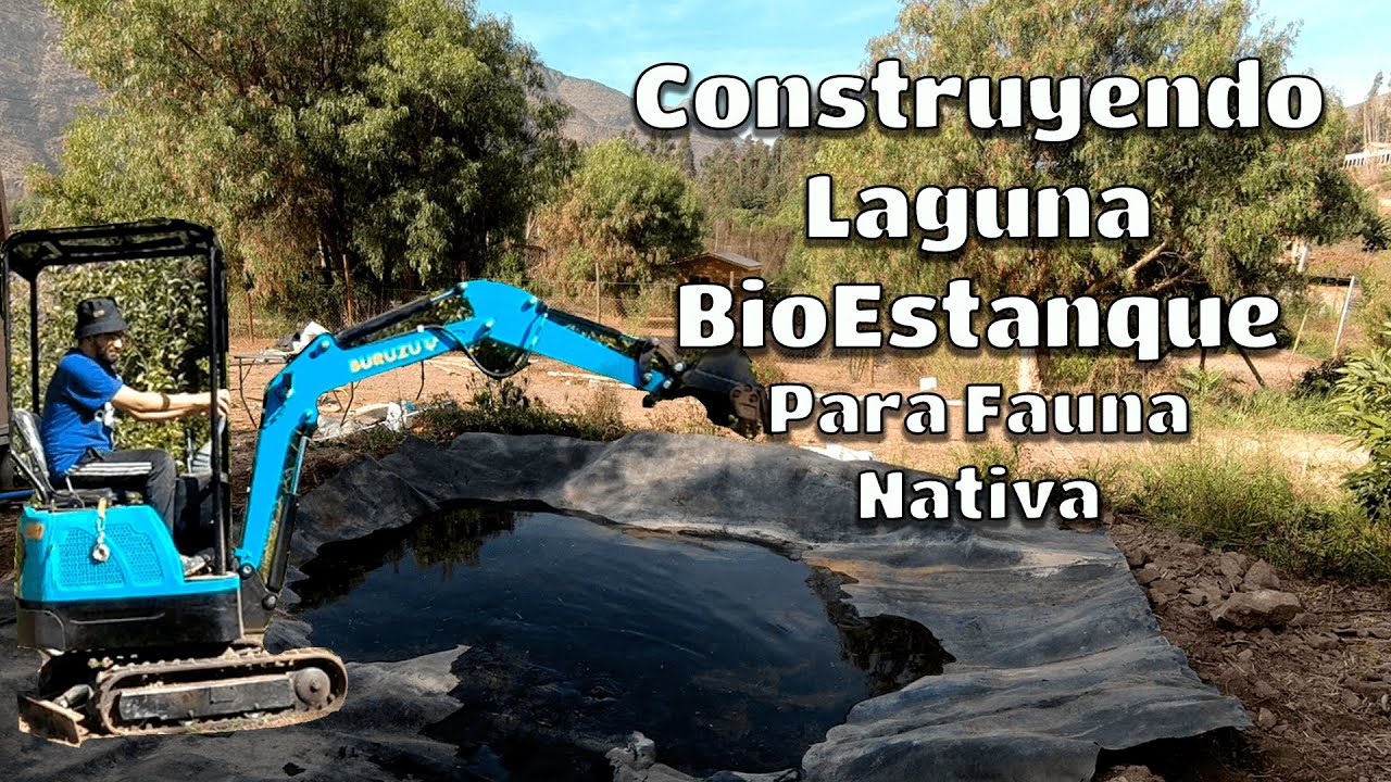 Construyendo Laguna para Fauna Nativa | Parte 1 | Bioestanque | Ecosistema