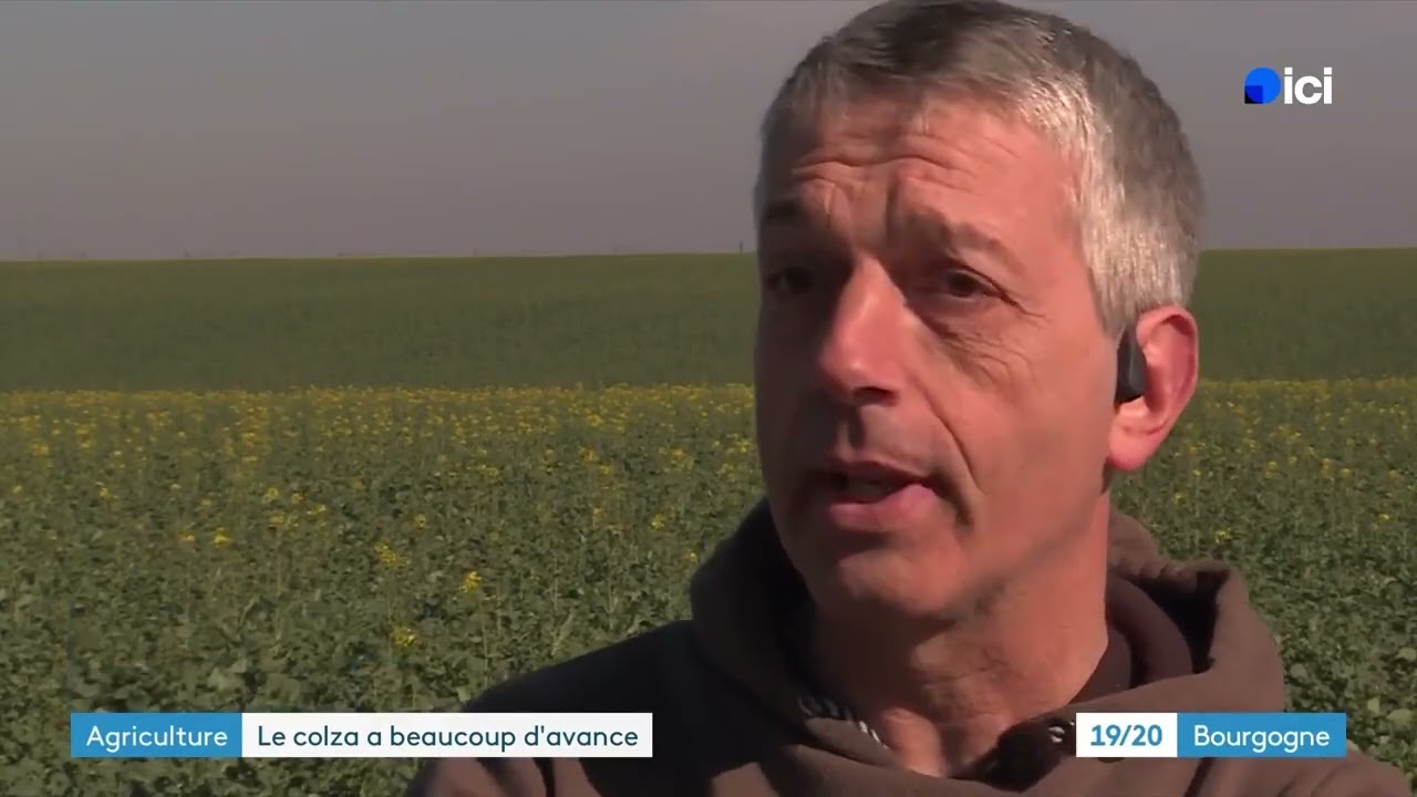 ICI 19 20   Bourgogne   Émission du mardi 3 mars 2026 F3