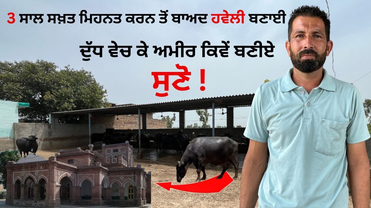 ਦੁੱਧ ਵੇਚ ਕੇ ਅਮੀਰ ਕਿਵੇਂ ਬਣੀਏ || 3 ਸਾਲ ਸਖ਼ਤ ਮਿਹਨਤ || Sh. Sukhjit Singh || #punjab #haryana #dairyfarm