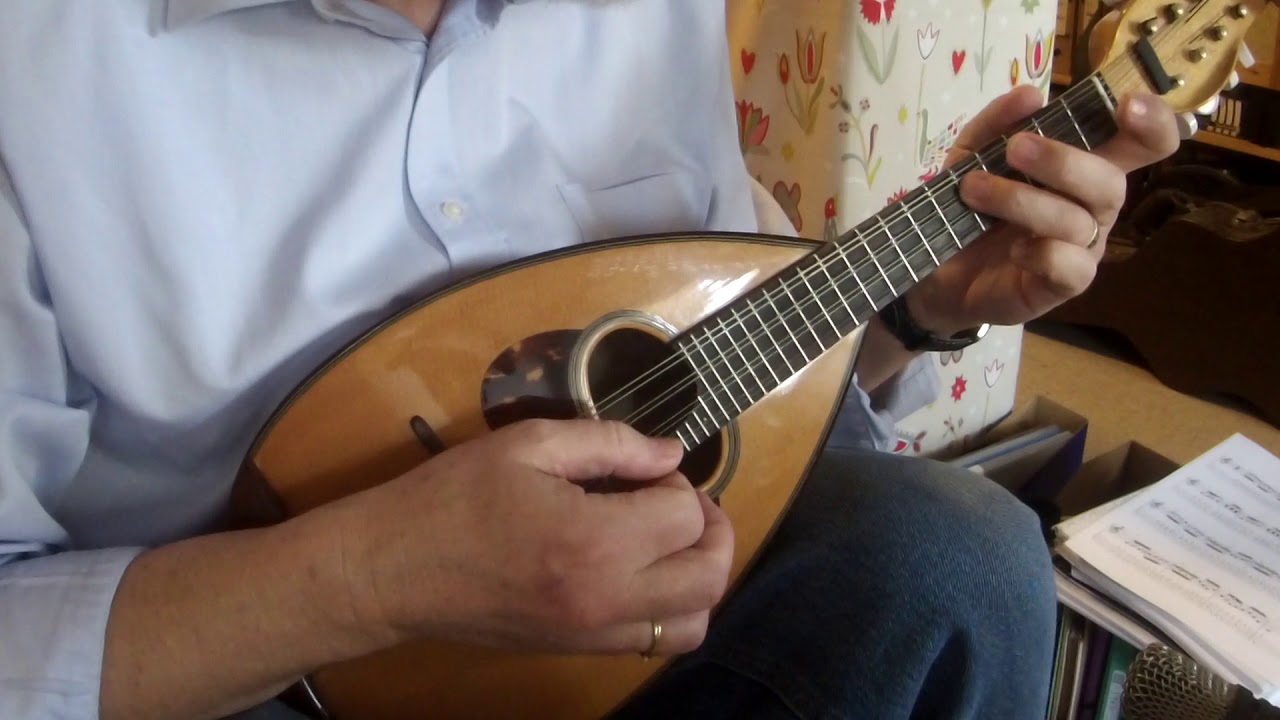 Flatbush Waltz (Andy Statman) - Mandolin solo with guitar
