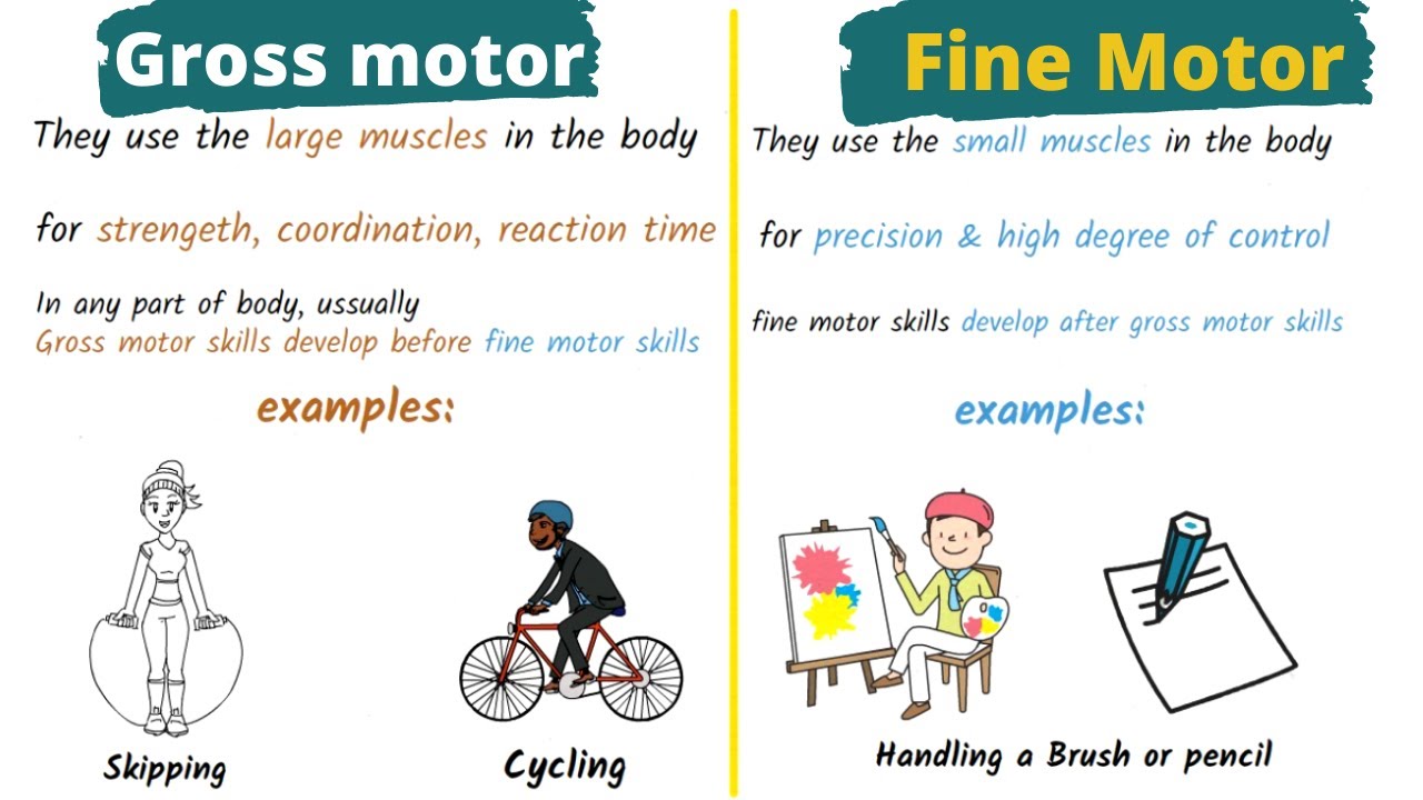 Motor skills in 2 minutes | Gross Vs fine motor skills | Explained