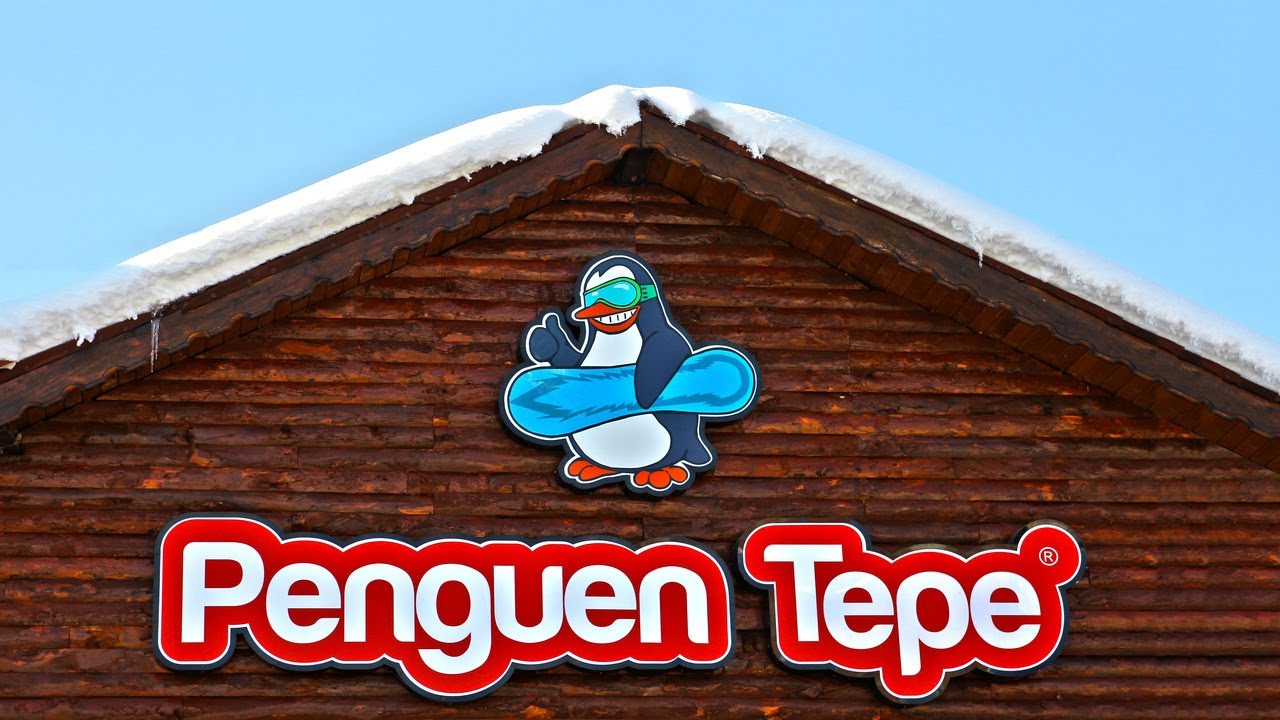PenguenTepe Hizmetleri