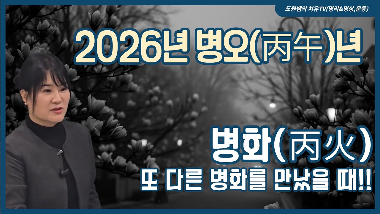 병화(丙火)  | 2026년 병오(丙午)년 | 또 다른 병화(丙火)를 만났을 때!!