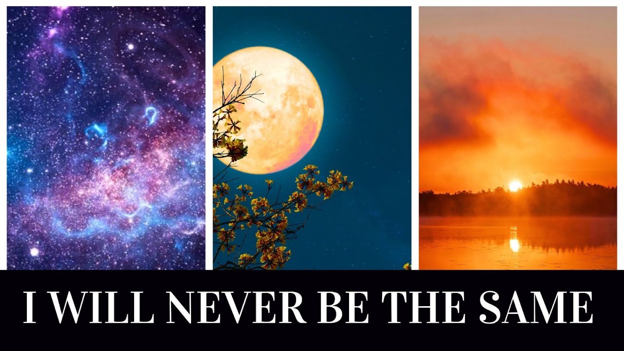 I Will Never Be The Same - ZenStudio