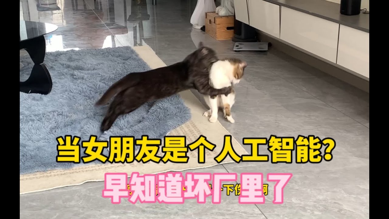 假如我说如果给我家猫找个电子猫当老婆