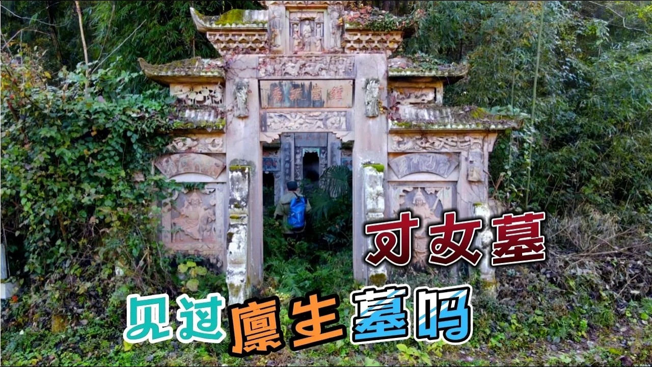 农村老人带我看廪生墓，墓主人是英年早逝的才女，龙刻让人不解