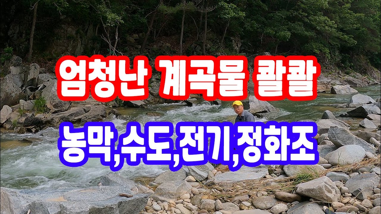 강 급 계곡 콸콸,힐링 전 매매,조용한 산 숲 농막 예쁜 토지매매 산골 나는자연인이다