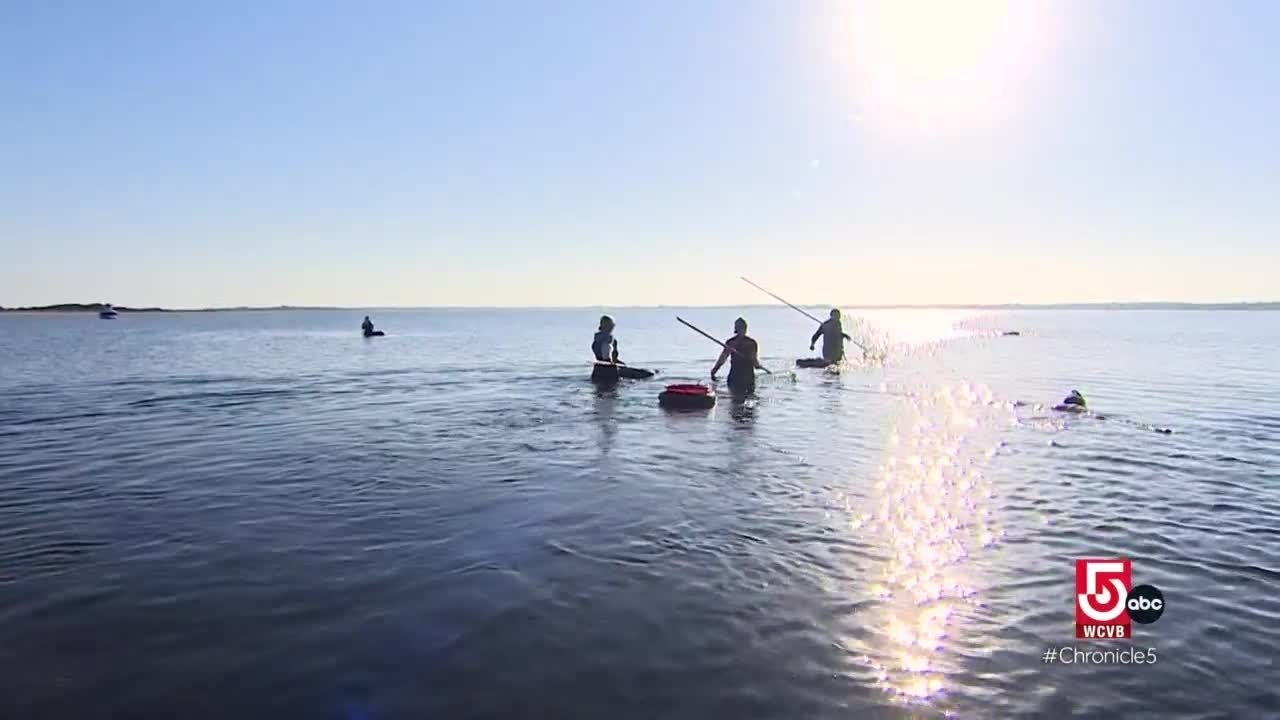 Autumn on Nantucket means scalloping season, getaways, and inspiration for artists
